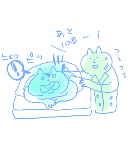 f:id:tya_hashi:20160808212137j:plain