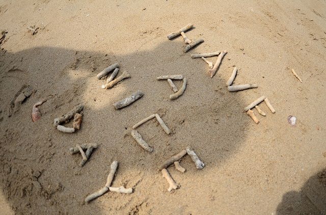 f:id:tyabatea:20180627211822j:plain