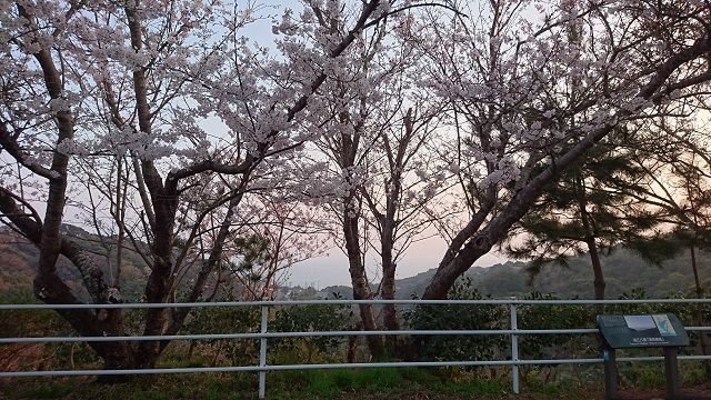 f:id:tyabatea:20181030231635j:plain