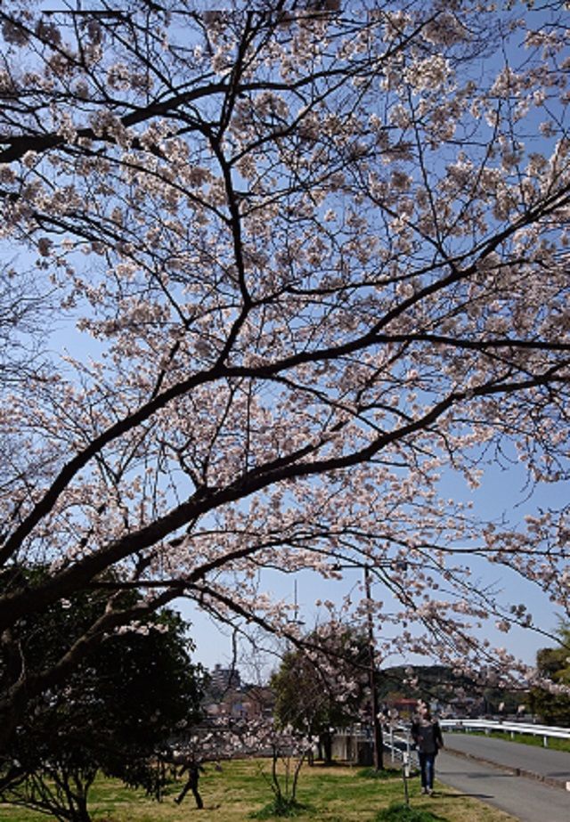 f:id:tyabatea:20181105103303j:plain f:id:tyabatea:20181105103303j:plain