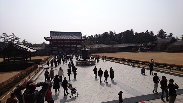f:id:tyabatea:20181123210833j:plain