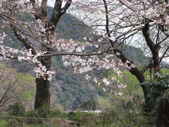 f:id:tyabatea:20190401192651j:plain f:id:tyabatea:20190401192651j:plain