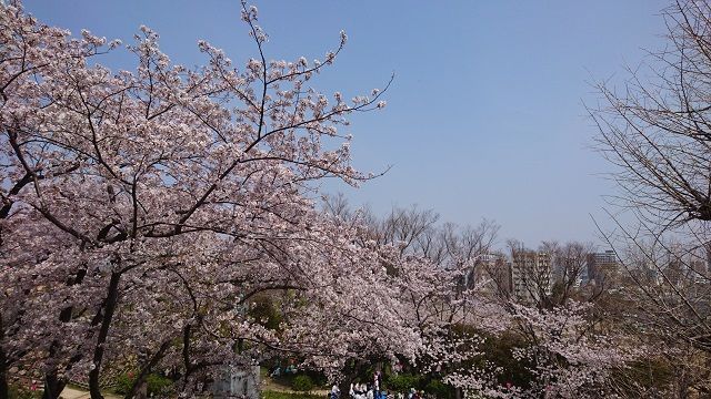 f:id:tyabatea:20190407190706j:plain