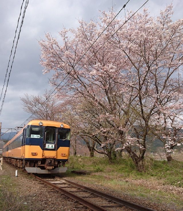 f:id:tyabatea:20190511072757j:plain f:id:tyabatea:20190511072757j:plain