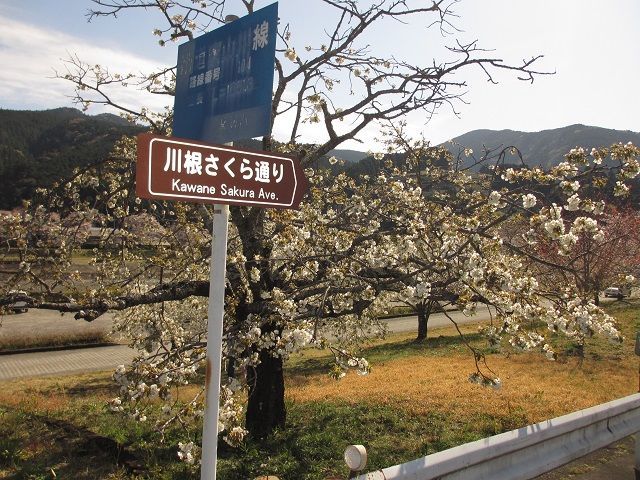 f:id:tyabatea:20190525223837j:plain