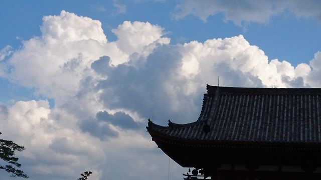 f:id:tyabatea:20190811184710j:plain f:id:tyabatea:20190811184710j:plain