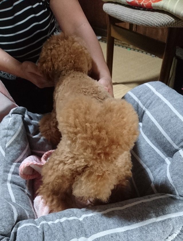 f:id:tyabatea:20190814063819j:plain f:id:tyabatea:20190814063819j:plain
