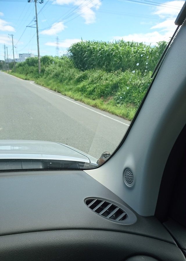 f:id:tyabatea:20190814081137j:plain f:id:tyabatea:20190814081137j:plain
