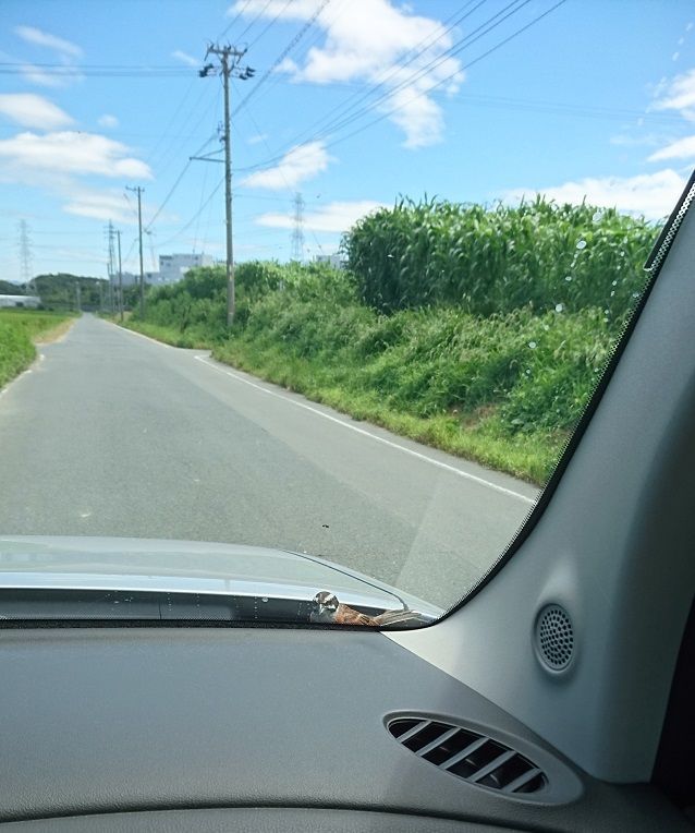 f:id:tyabatea:20190814081459j:plain f:id:tyabatea:20190814081459j:plain