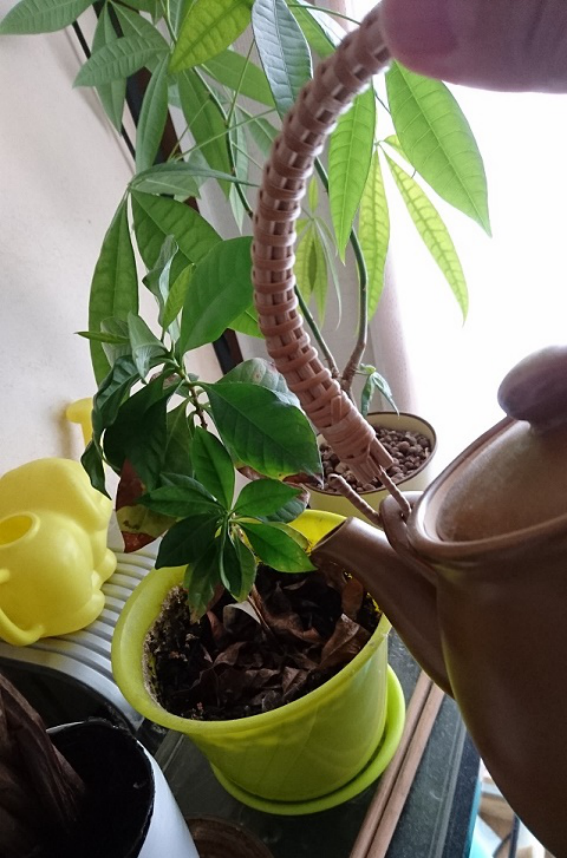 f:id:tyabatea:20190829222452p:plain