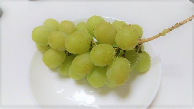f:id:tyabatea:20190911091943j:plain f:id:tyabatea:20190911091943j:plain