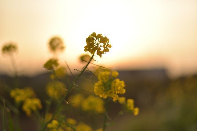f:id:tyabatea:20190917183636j:plain f:id:tyabatea:20190917183636j:plain