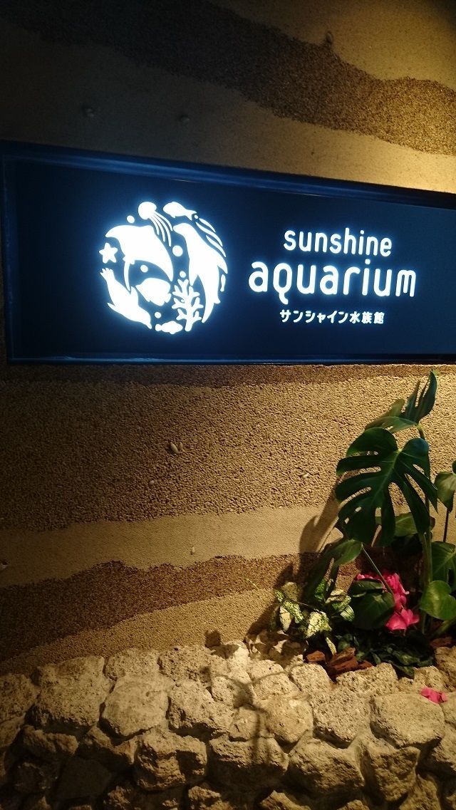 f:id:tyabatea:20191105180921j:plain