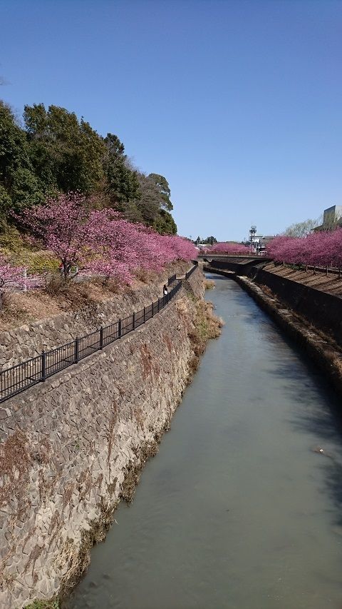 f:id:tyabatea:20200404205039j:plain f:id:tyabatea:20200404205039j:plain