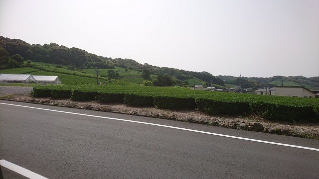 f:id:tyabatea:20200521165703j:plain