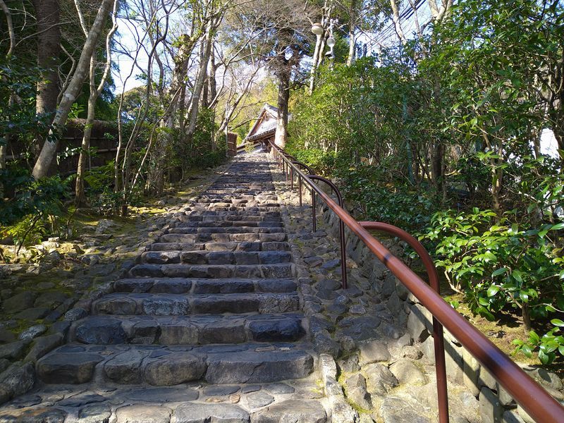 f:id:tyabatea:20210314190855j:plain