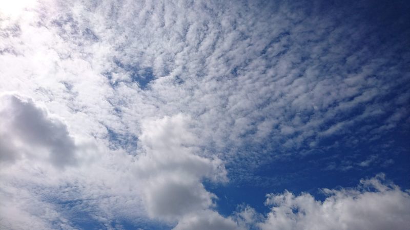 f:id:tyabatea:20210604173517j:plain