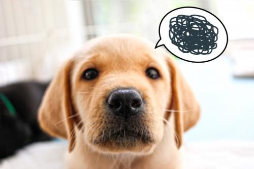 f:id:tyamamototry:20180121212039j:plain f:id:tyamamototry:20180121212039j:plain