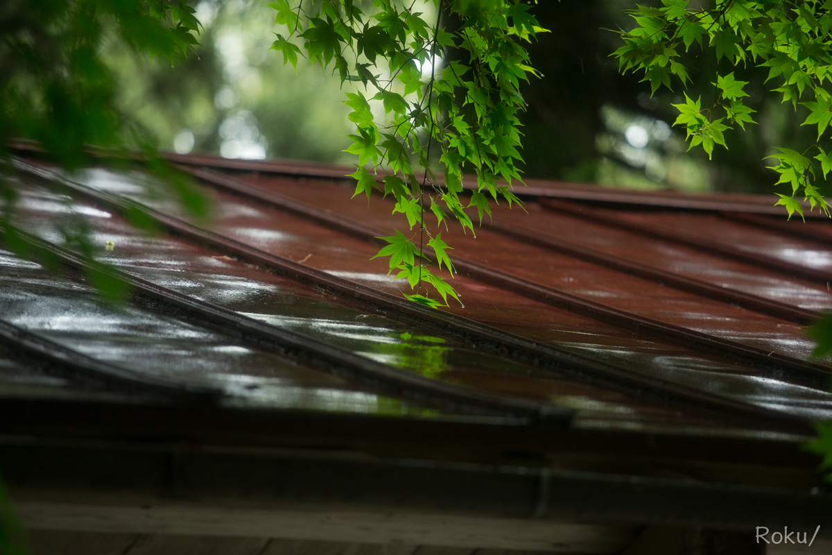 f:id:tyannbara:20210620151840j:plain
