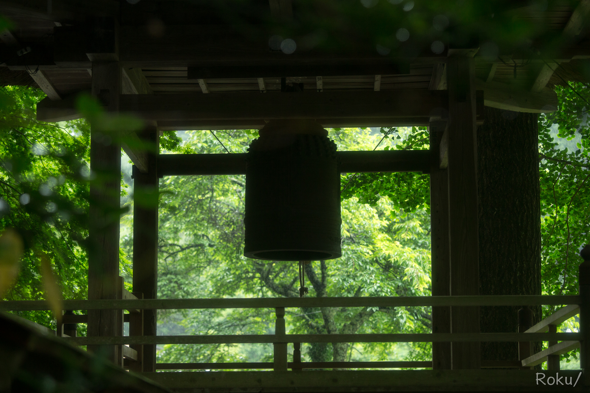f:id:tyannbara:20210620152326j:plain