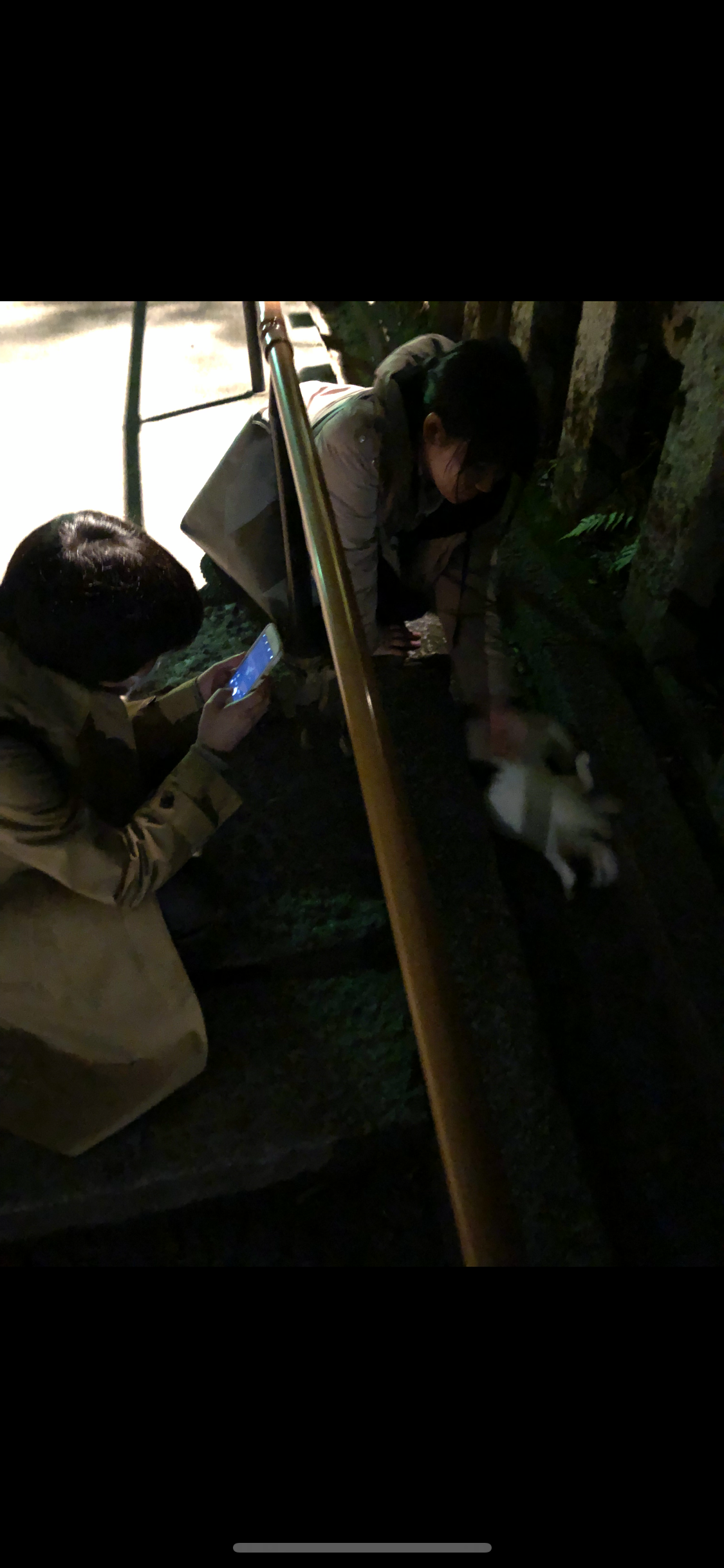 f:id:tyaukon:20190613214036p:image