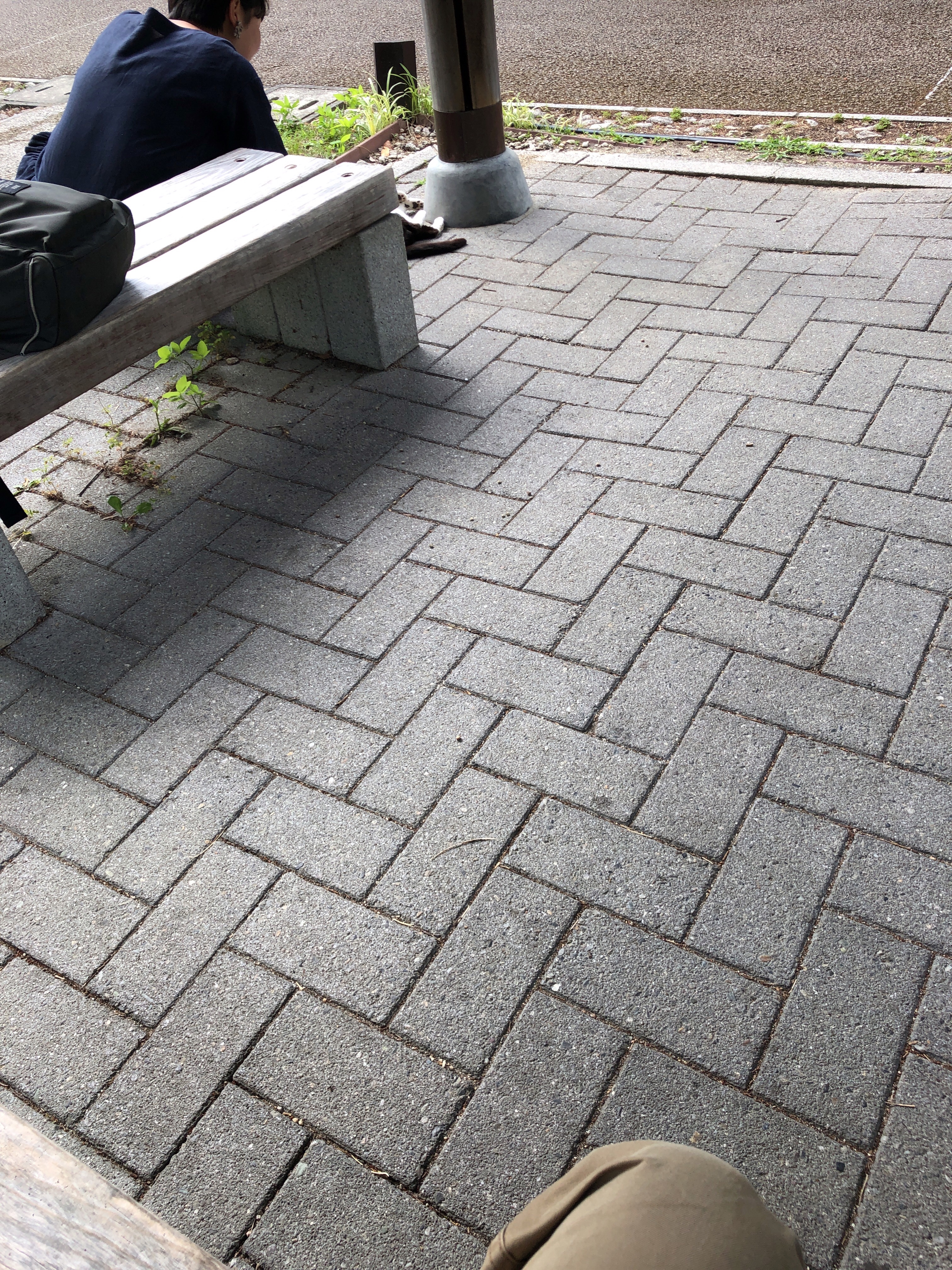 f:id:tyaukon:20190710085249j:image