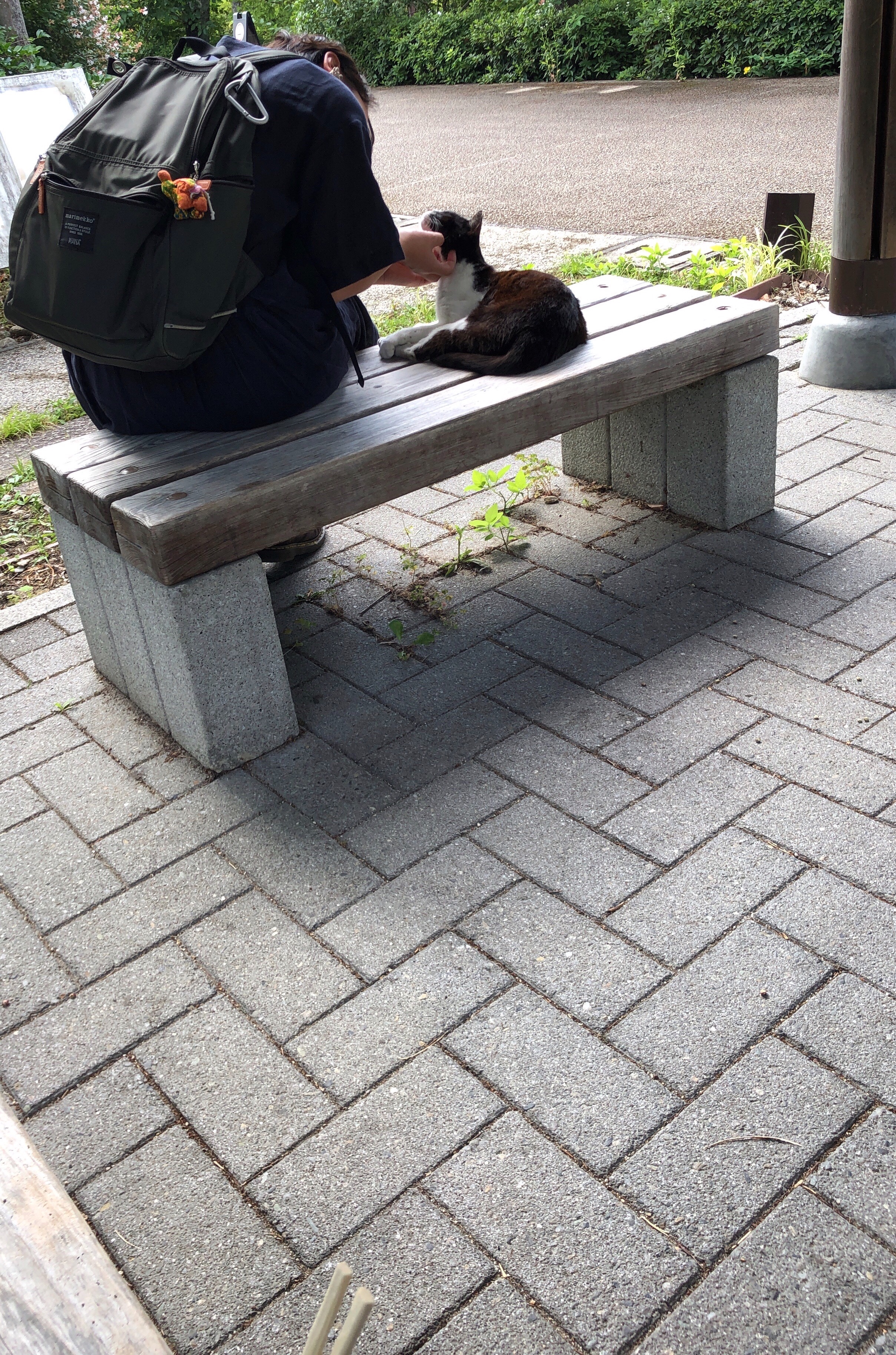 f:id:tyaukon:20190710085314j:image