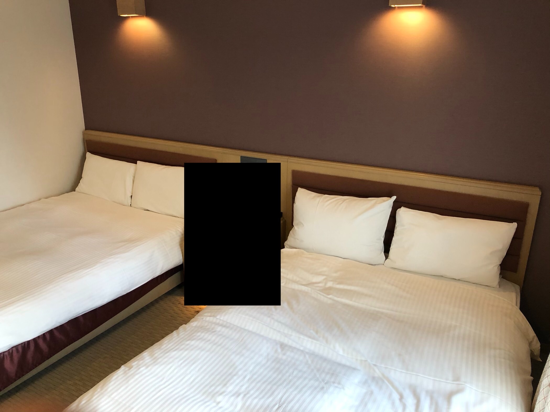 f:id:tyaukon:20200221210451j:image