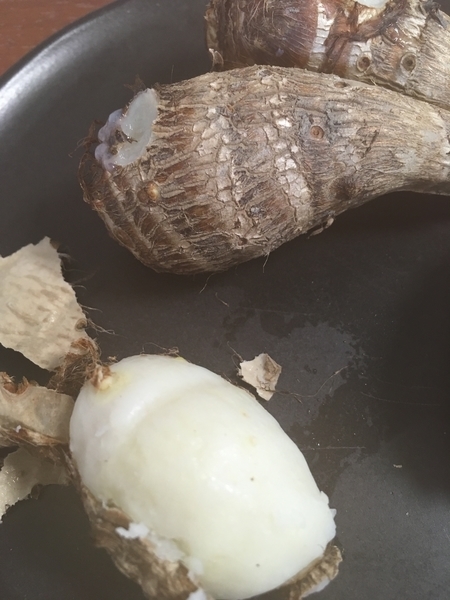 f:id:tyazukesantamaria:20201112202541j:plain