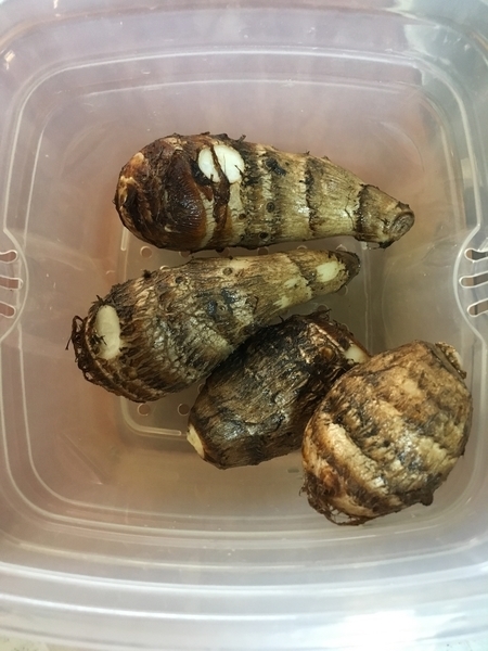 f:id:tyazukesantamaria:20201112202842j:plain