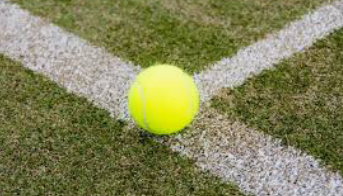 f:id:tylertennis:20210330073233j:plain