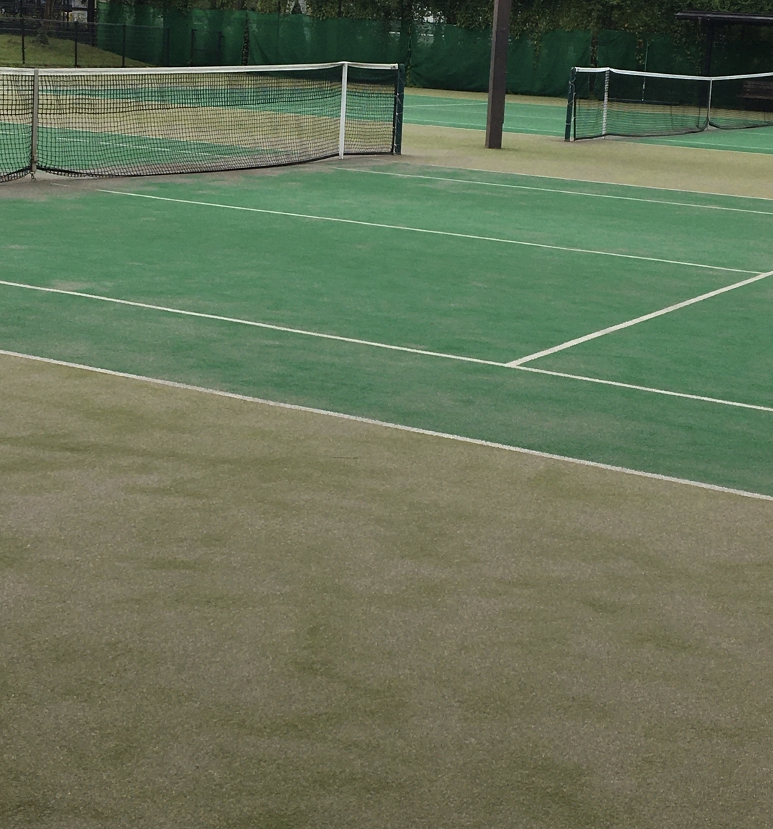 f:id:tylertennis:20211125103659j:plain