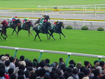 馬券ハズレが確定した瞬間