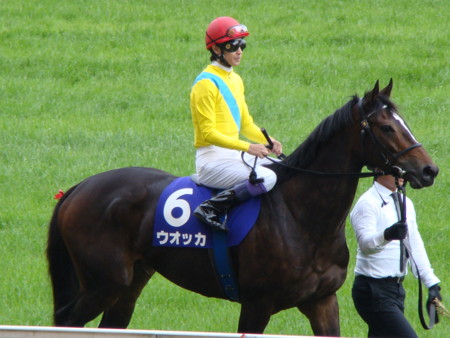 f:id:tylor_tylor:20090517152530j:image f:id:tylor_tylor:20090517152530j:image