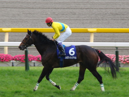 f:id:tylor_tylor:20090517154225j:image f:id:tylor_tylor:20090517154225j:image