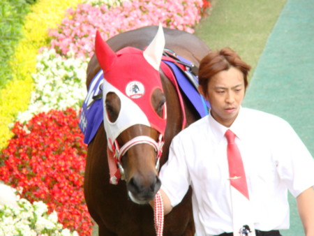 スーパーホーネット安田記念パドック