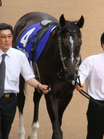 ファリダット安田記念パドック