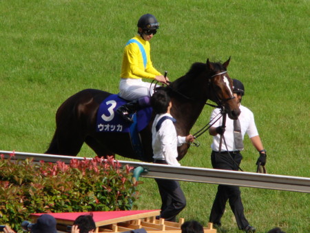 ウオッカ安田記念返し馬
