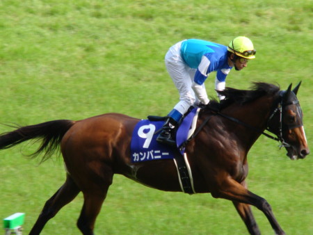 カンパニー安田記念返し馬