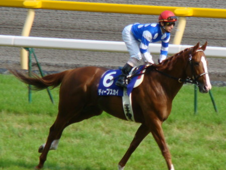 ディープスカイ安田記念返し馬