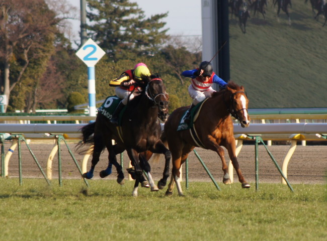 共同通信杯ゴール前（ナカヤマナイト＆ユニバーサルバンク）
