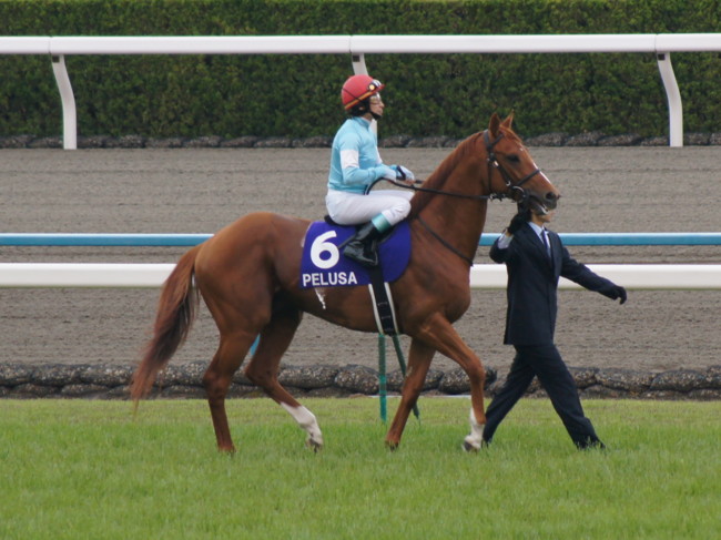 ペルーサ＠春天