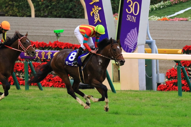 2016年天皇賞秋優勝のモーリス＆ムーア騎手