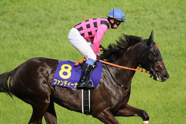 f:id:tylor_tylor:20170416152219j:image f:id:tylor_tylor:20170416152219j:image