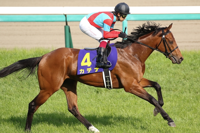 f:id:tylor_tylor:20170416152308j:image f:id:tylor_tylor:20170416152308j:image