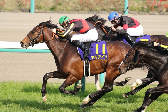 f:id:tylor_tylor:20170416154108j:image f:id:tylor_tylor:20170416154108j:image