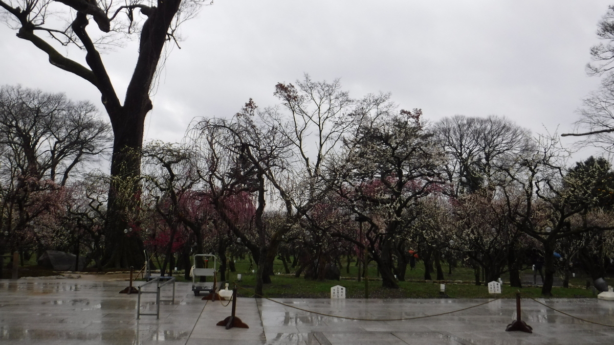 f:id:tymikami:20200222134108j:plain