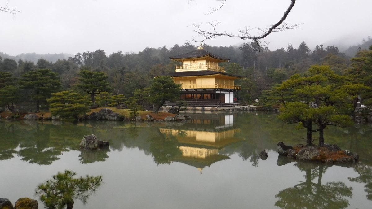 f:id:tymikami:20200222144907j:plain