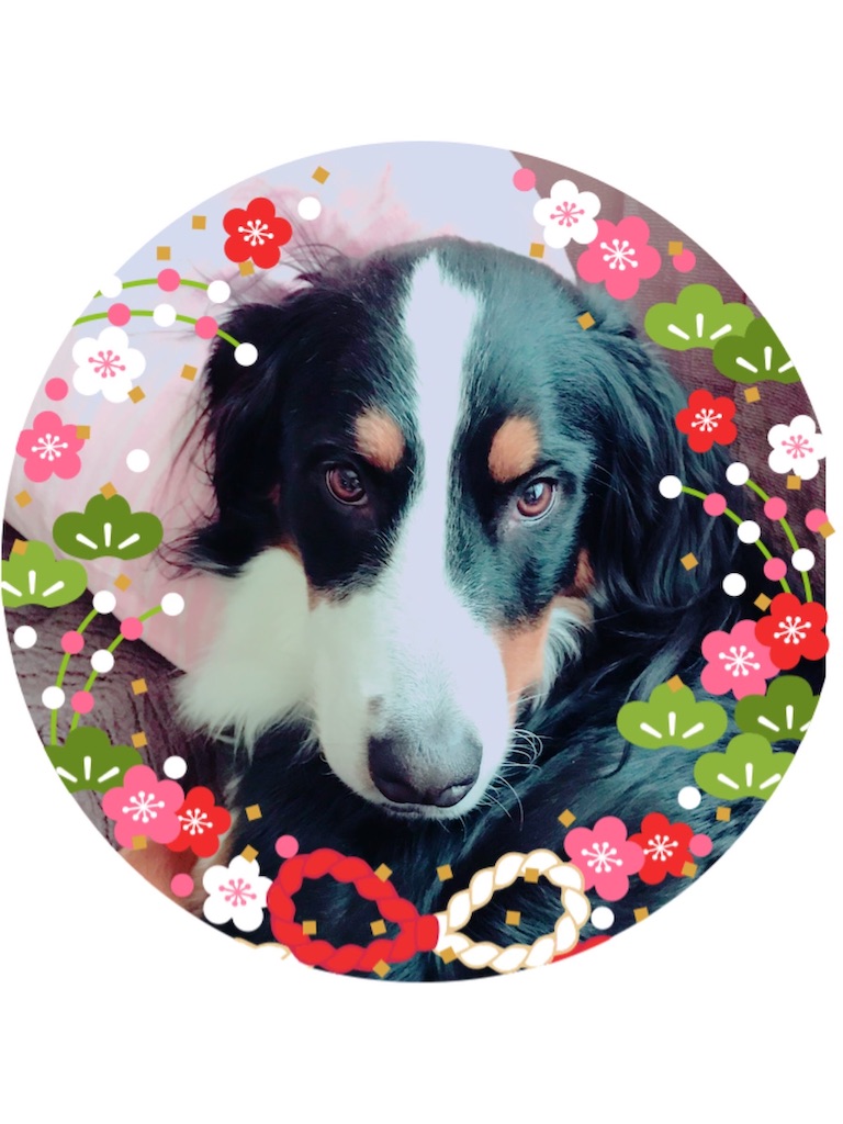 f:id:tyo-tyo-rin:20210713092544j:image f:id:tyo-tyo-rin:20210713092544j:image