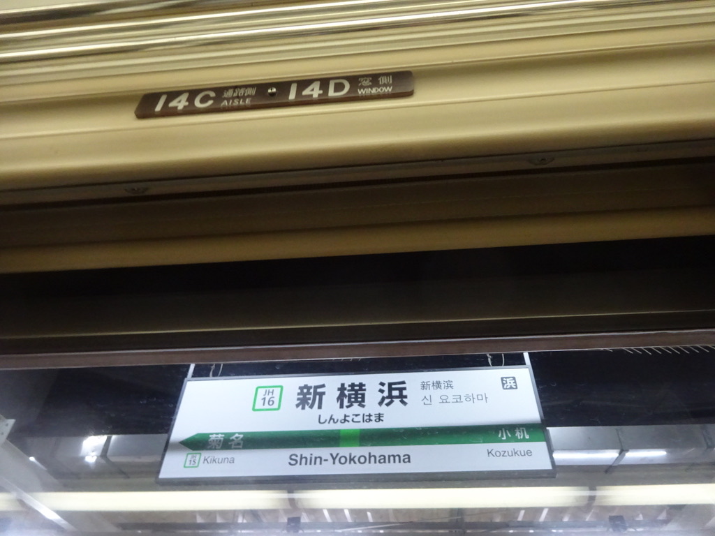 185系が新横浜駅を経由した記録として(2019/1/2)